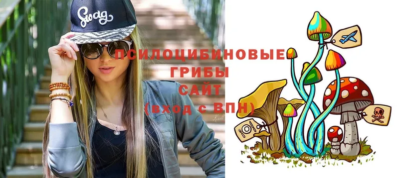 где найти наркотики  Почеп  Псилоцибиновые грибы Psilocybe 